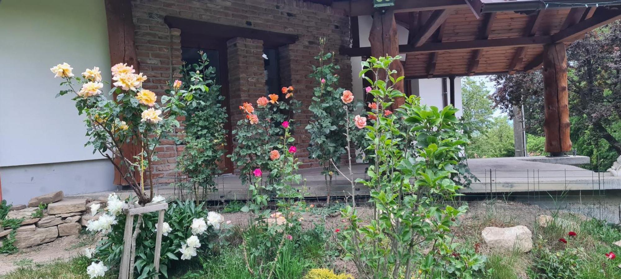Rustic Dreams-Dobolii De Sus Villa Exterior photo